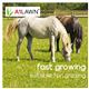 A1 Equine - Paddock & Gateway Grass Seed, 5kg (1000m2)