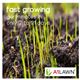 A1 Lawn - Hard Wearing Grass Seed, 5kg (140m2)