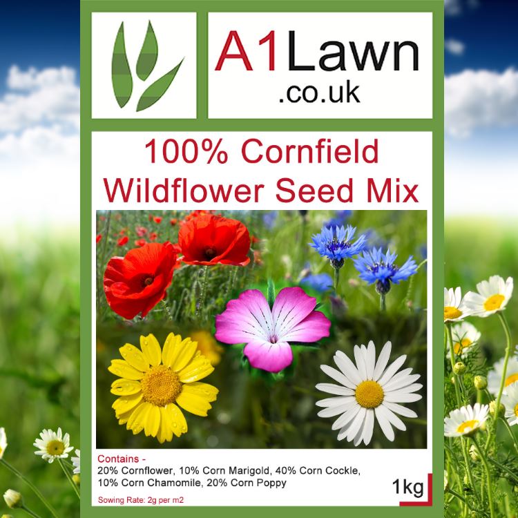 A1 Lawn 100% Cornfield Wildflower Seed Mix, 1kg (200m2)