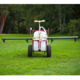 Team Cub Pedestrian Sprayer - 30L Electric Powered