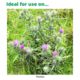 Vivendi 200 1L - Weed Killer for Thistle Control in Grassland