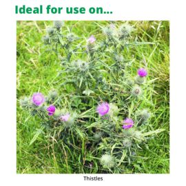 Vivendi 200 1L - Weed Killer for Thistle Control in Grassland