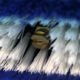 SDS - Softwash Spray Brush Head fits 6.5m Carbon Telescopic Pole