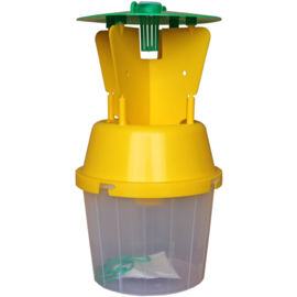 Chafer Beetle Trap with pheromone for capturing adults