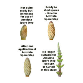 Amvista Spore Stop 250ml - reduces spread of horsetail