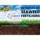 Maxicrop Natural Organic Fertiliser 10L 