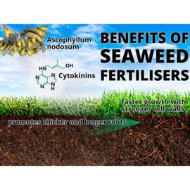 Maxicrop Natural Organic Fertiliser 10L 