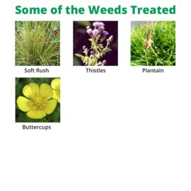 Agritox 10L - Grassland Weed Killer Containing MCPA