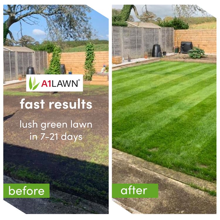 A1 Lawn Winter Repair Grass Seed 5KG