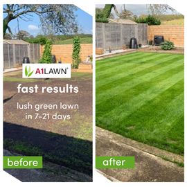 A1 Lawn Winter Repair Grass Seed 5KG