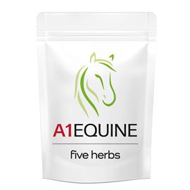 A1 Equine Five Herbs Seed Mix 1KG