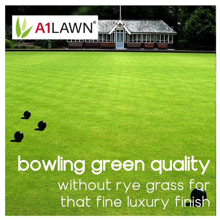 A1 Lawn - Ornamental Grass Seed, 5kg (100m2) 