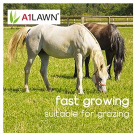 A1 Equine - Paddock & Gateway Grass Seed, 5kg (1000m2)