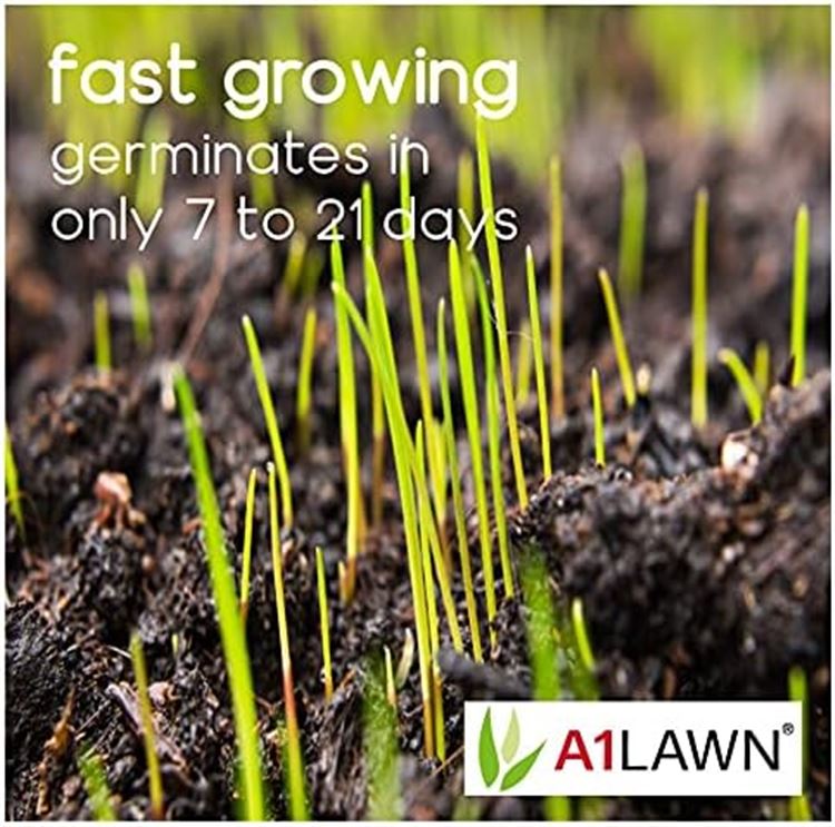 A1 Lawn - Cool start Grass Seed 5KG
