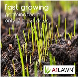 A1 Lawn - Cool start Grass Seed 5KG