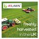 A1 Lawn - Premiership Pro Grass Seed, 5kg (140m2)