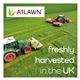 A1 Sports - Sports Pitch Grass Seed 5KG