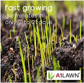 A1 Lawn Patch Repair Grass Seed 1KG