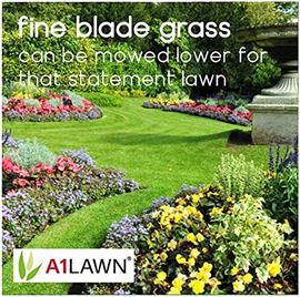 A1 Lawn - Low Maintenance Grass Seed 5KG