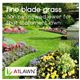A1LAWN AM Pro-7 Premium Fine Lawn - Grass Seed - 5kg