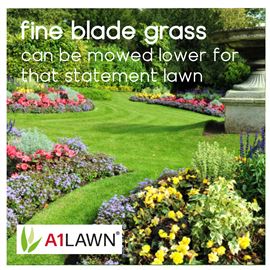 A1 Lawn - Fine Blade Grass Seed, 5kg (125m2)