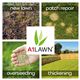 A1 Lawn - Luxury Hard Wearing Grass Seed, 5kg (140m2)