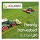 A1LAWN AM Pro-8 Luxury Hard Wearing Lawn - Grass Seed - 5kg
