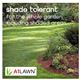A1LAWN AM Pro-9 Premium Shady Lawn - Grass Seed - 5kg