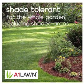 A1 Lawn - Shade & Drought Grass Seed, 5kg (140m2)