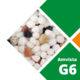 Amvista G6 Long Life Fertiliser 20KG (28-3-15) for established grass
