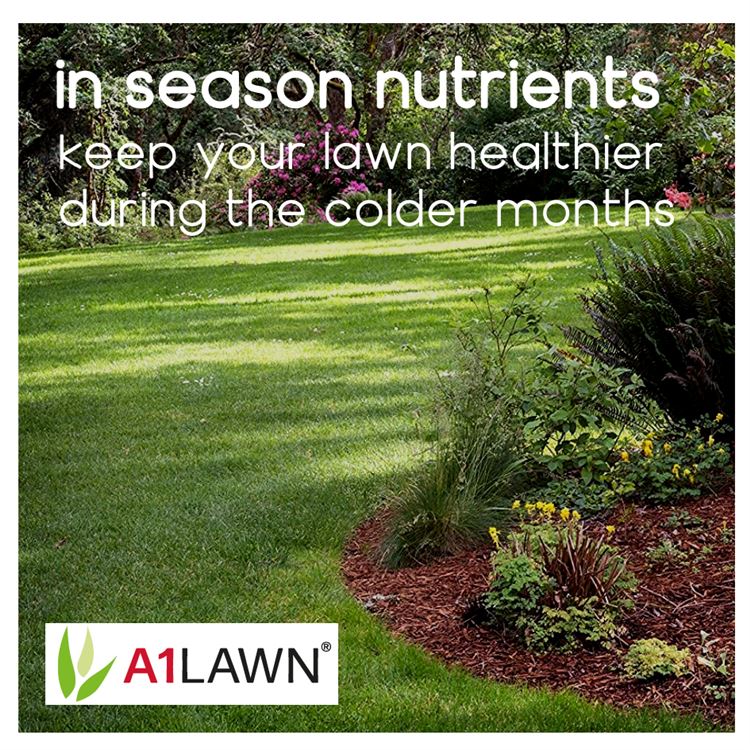A1 Lawn Ultimate Autumn Winter Lawn Fertiliser 6-5-10-6fe - 10KG
