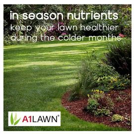 A1 Lawn Ultimate Autumn Winter Lawn Fertiliser 6-5-10-6fe 