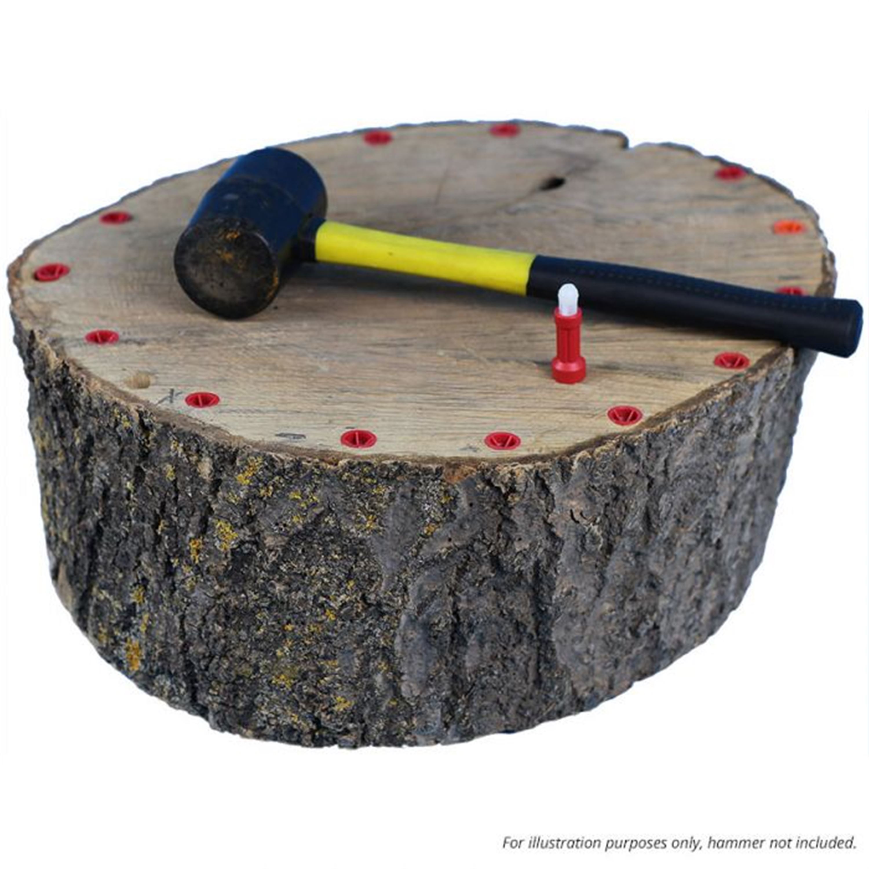 Ecoplug Max - Professional Glyphosate Tree Stump Killer, Pack of 100