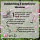 A1WILD Meadow Economy 80:20 Wildflower and Grass Seed Mix