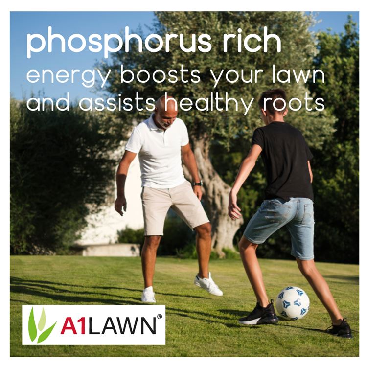 A1 Lawn New Grass Pre-Seed and Pre-Turf Fertiliser [6-9-6] - 10KG