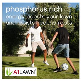 A1 Lawn New Grass Pre-Seed and Pre-Turf Fertiliser [6-9-6]