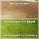 Repel - Organic pest repellent for lawns and amenity turf
