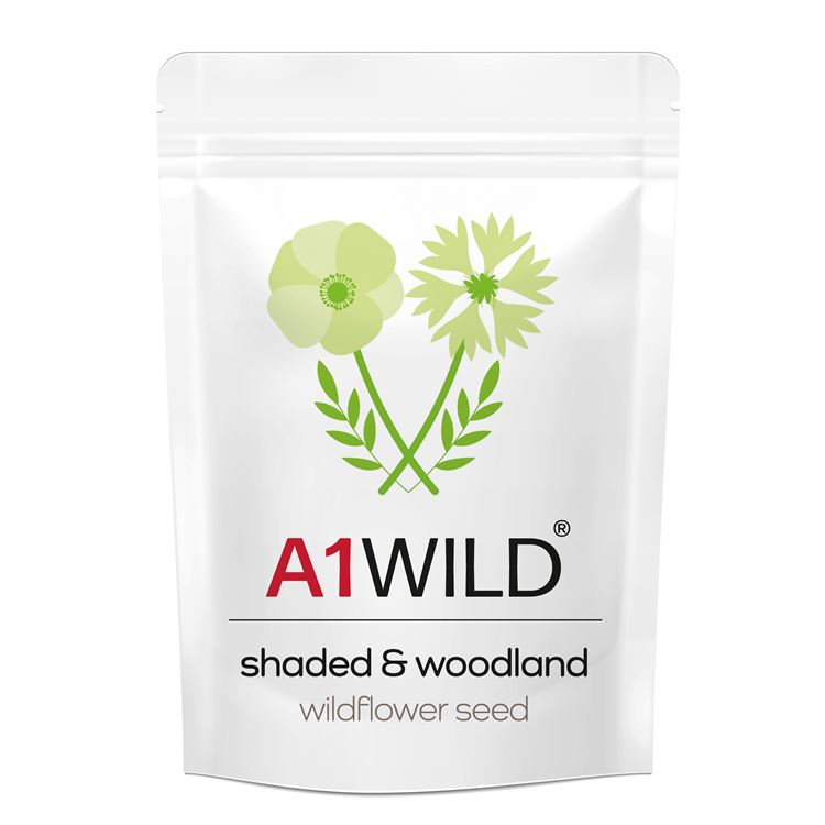 A1WILD Shaded Woodland 100% Wildflower Seed Mix