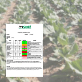 Soil Analysis for Growing Garden Vegetables 