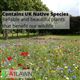 A1WILD UK Native 100% Wildflower Seed Mix