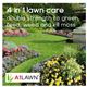 A1LAWN Lawn Weed, Feed & Moss Killer (Double Strength) - 10kg